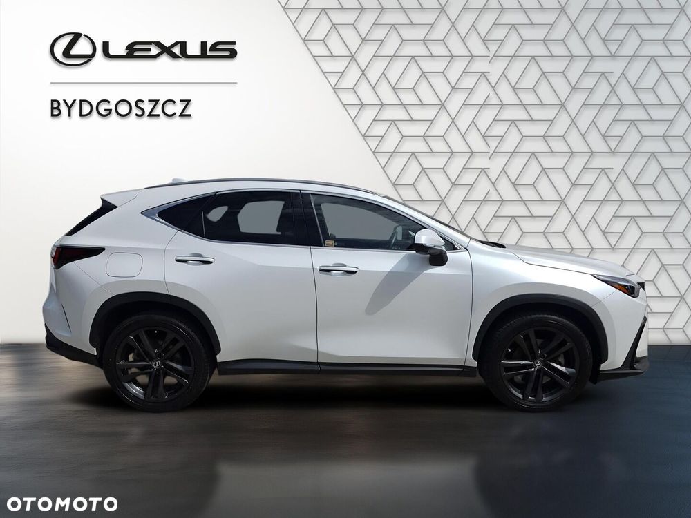 Lexus NX - 6
