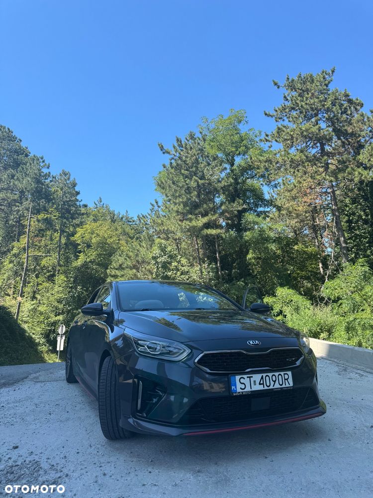 Kia ProCeed - 17