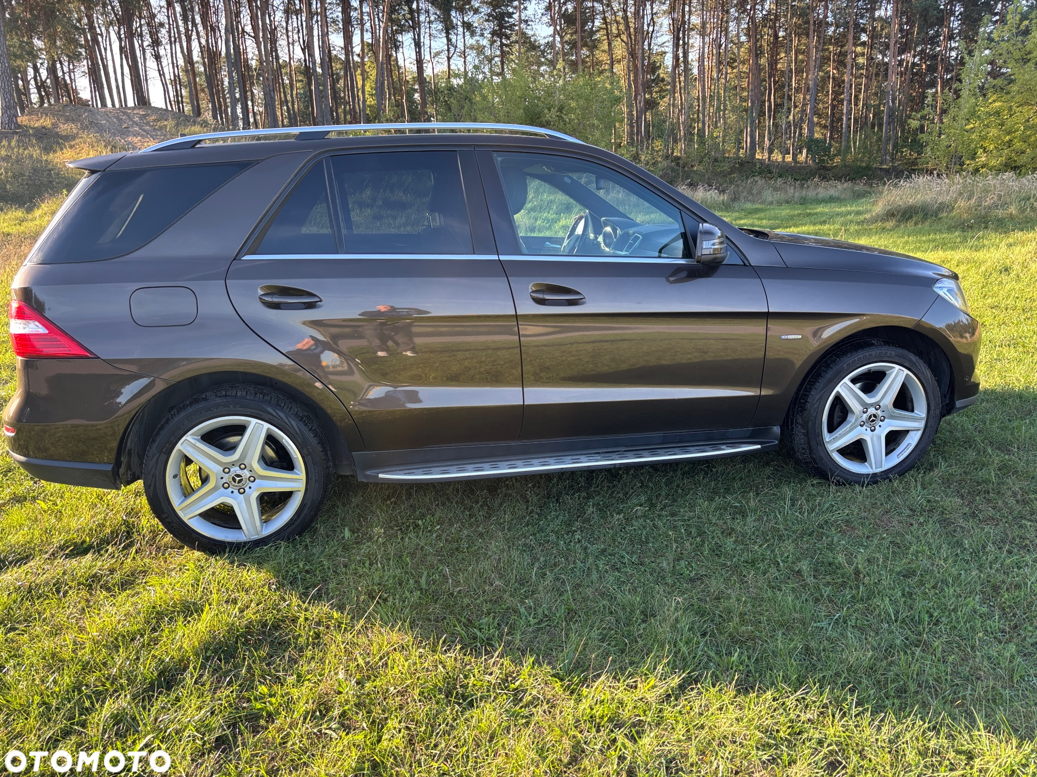 Mercedes-Benz ML 350 BlueTec 4-Matic - 22