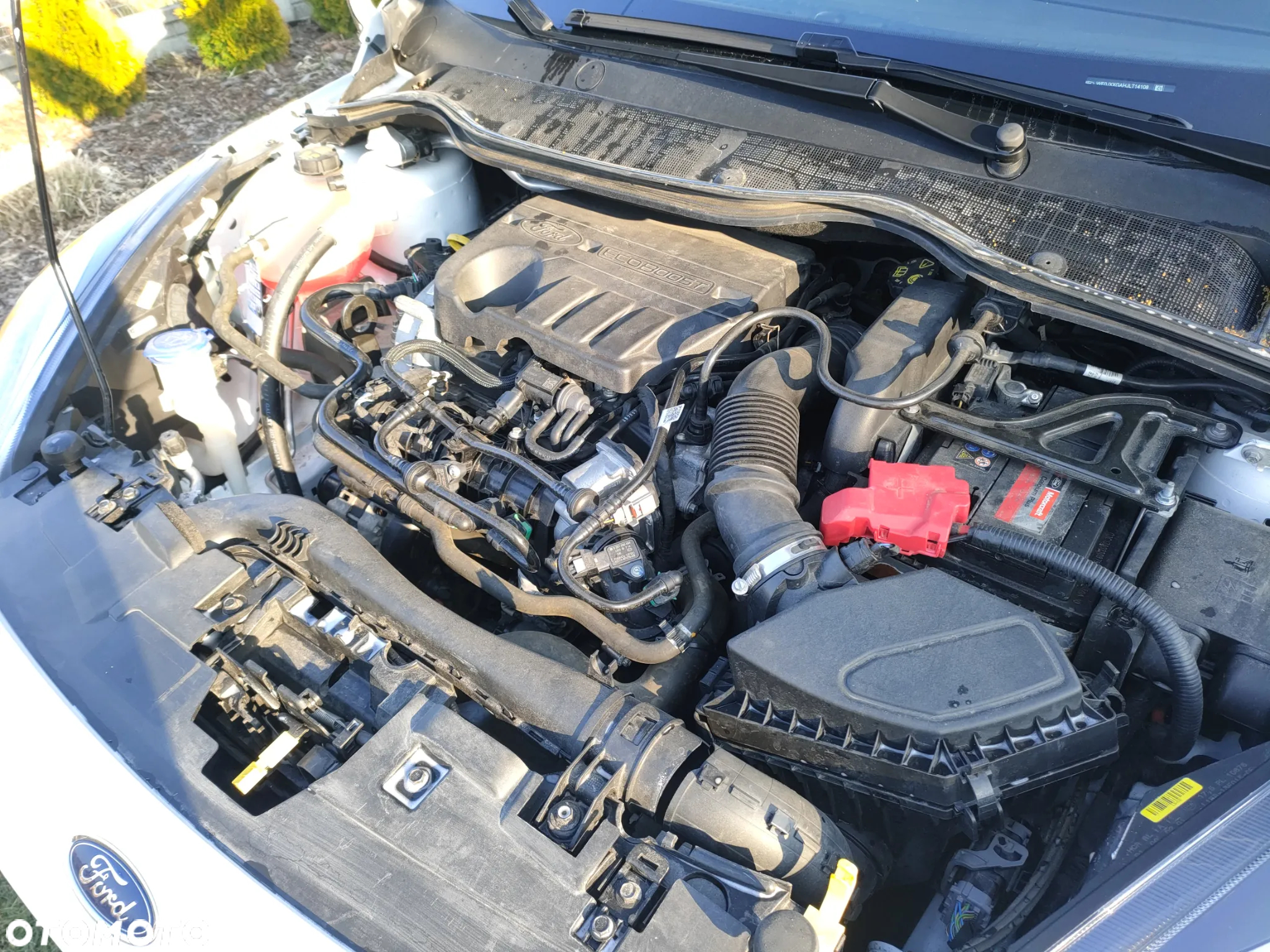 Ford Fiesta - 38