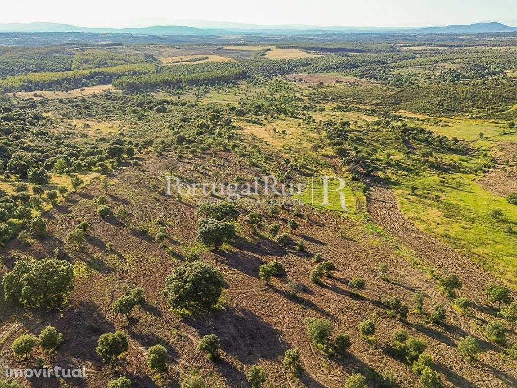Quinta de 9,4 hectares em Medelim - Grande imagem: 4/21