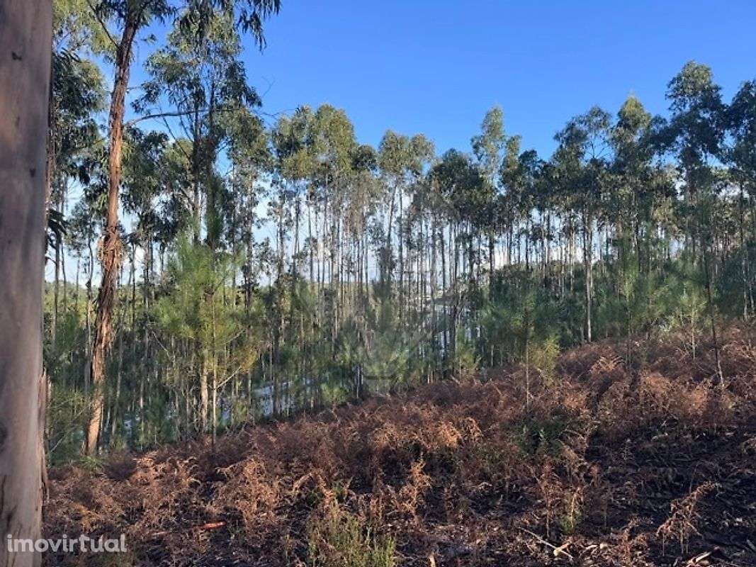 Terreno  para venda - Grande imagem: 5/8