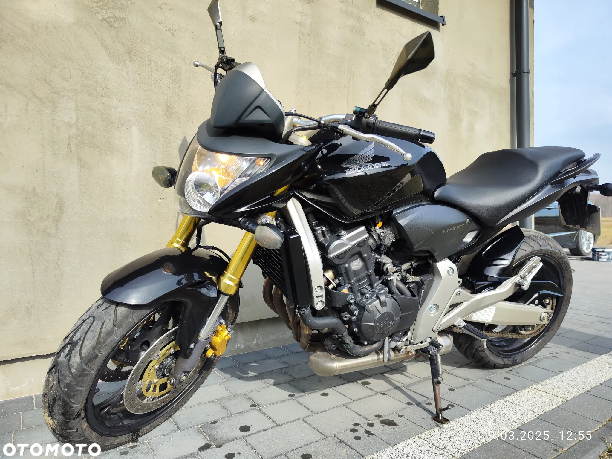 Honda Hornet - 13