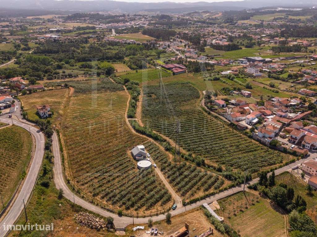 Quinta com Ruína | São Lourenço do Bairro, Anadia - Grande imagem: 2/22