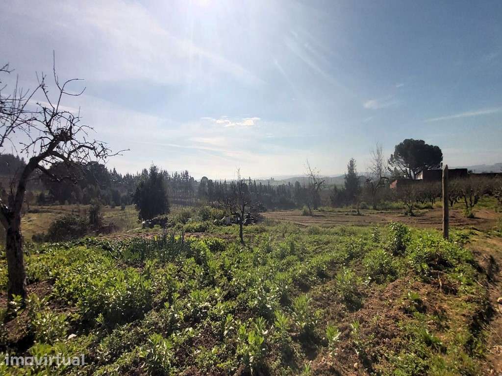 Terreno urbano com 12.560m2, Delgada - Grande imagem: 2/7