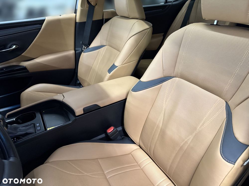 Lexus ES 300h Prestige - 18