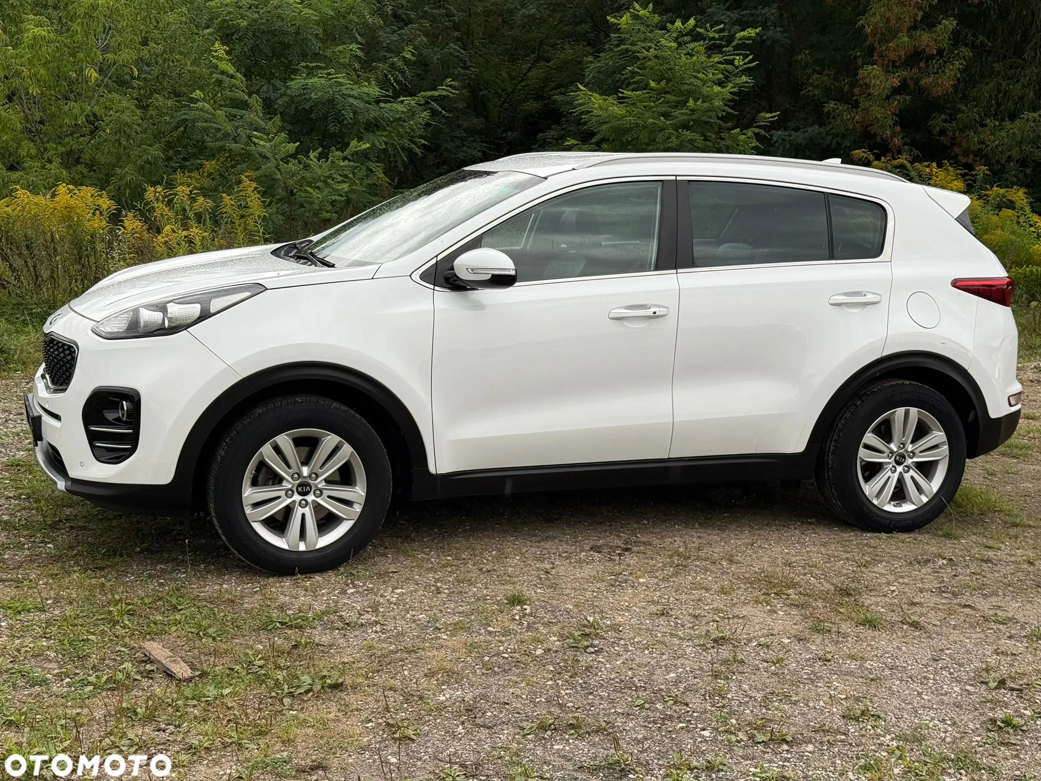 Kia Sportage 1.6 GDI 2WD Vision - 12