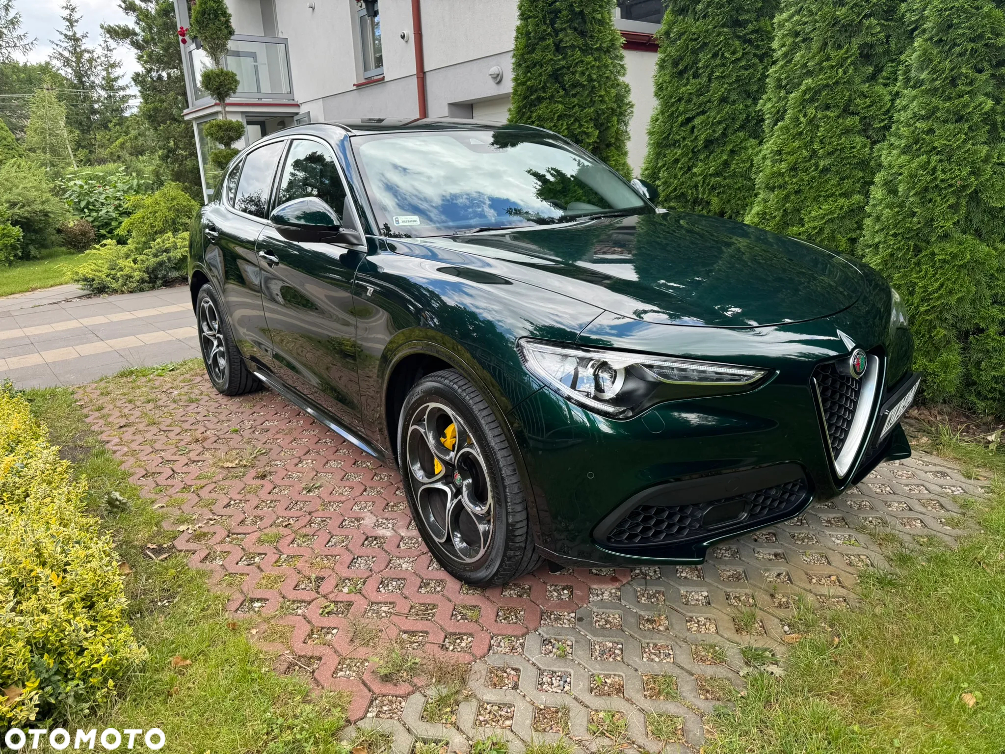Alfa Romeo Stelvio 2.0 Turbo TI Q4 - 2