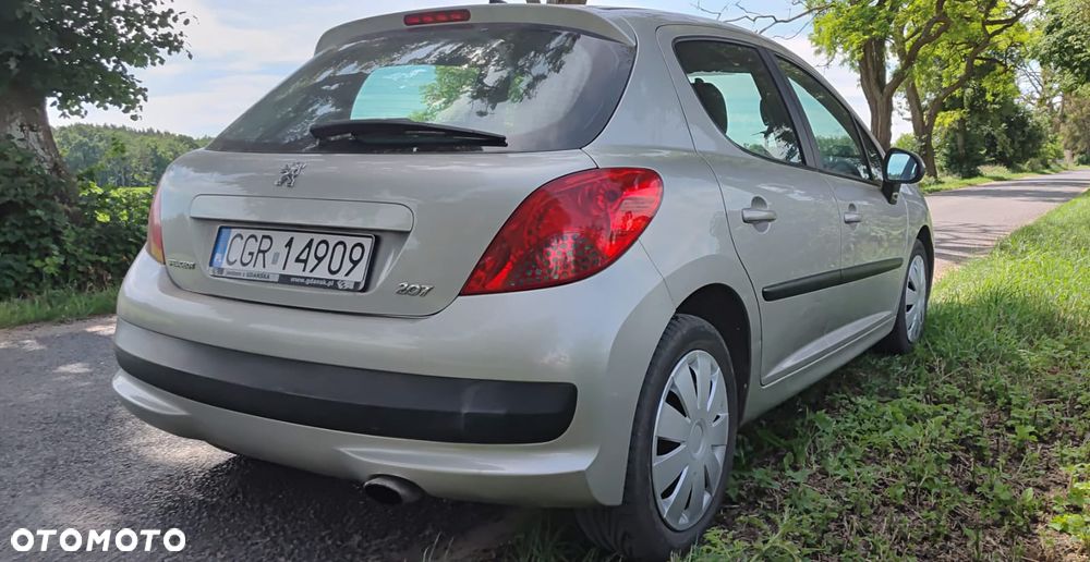 Peugeot 207 - 5