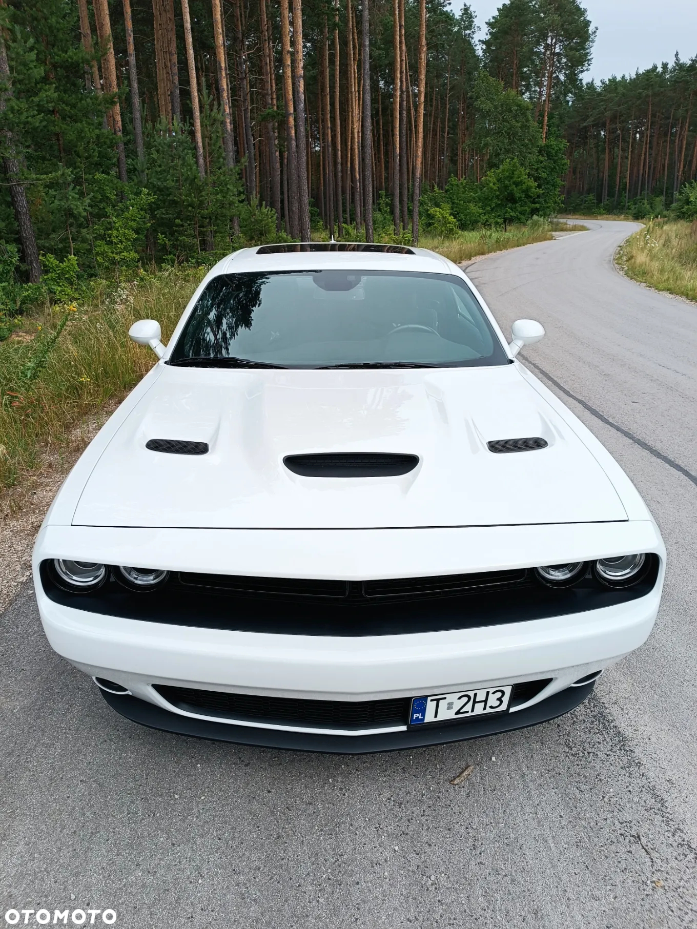 Dodge Challenger 6.4 Scat Pack - 3