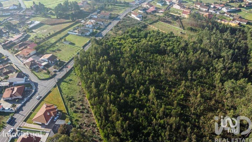 Terreno em Beduído e Veiros - Grande imagem: 5/6