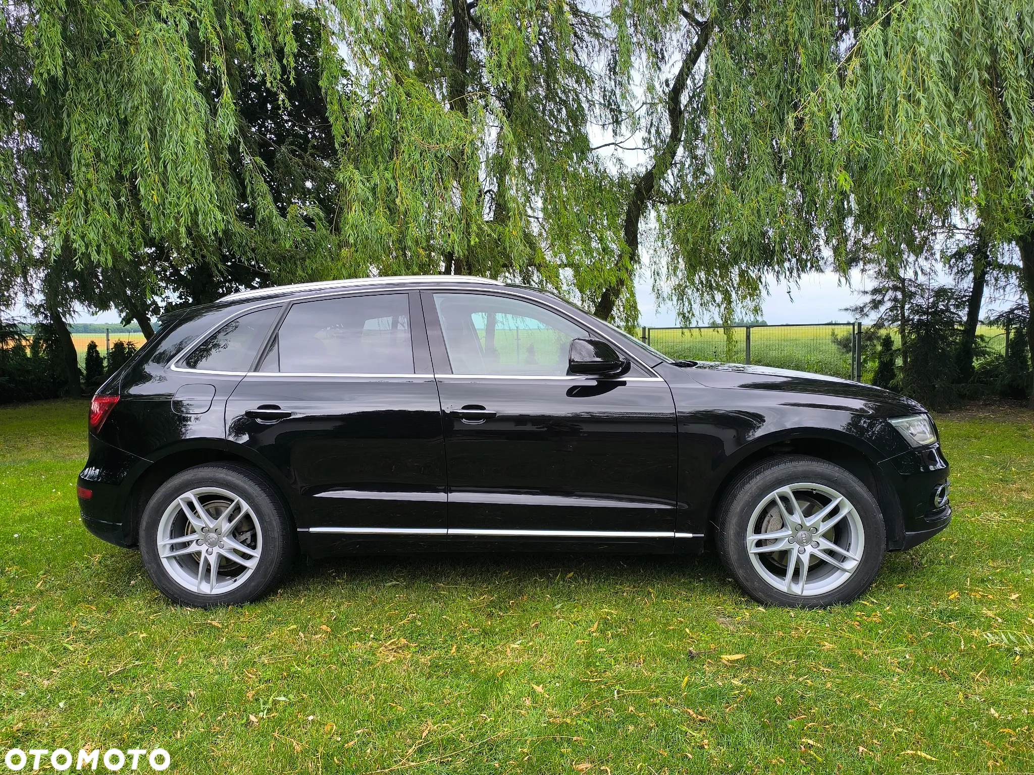 Audi Q5 2.0 TFSI Quattro Tiptronic - 3