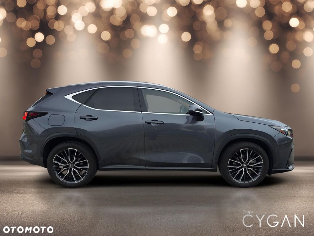 Lexus NX - 8