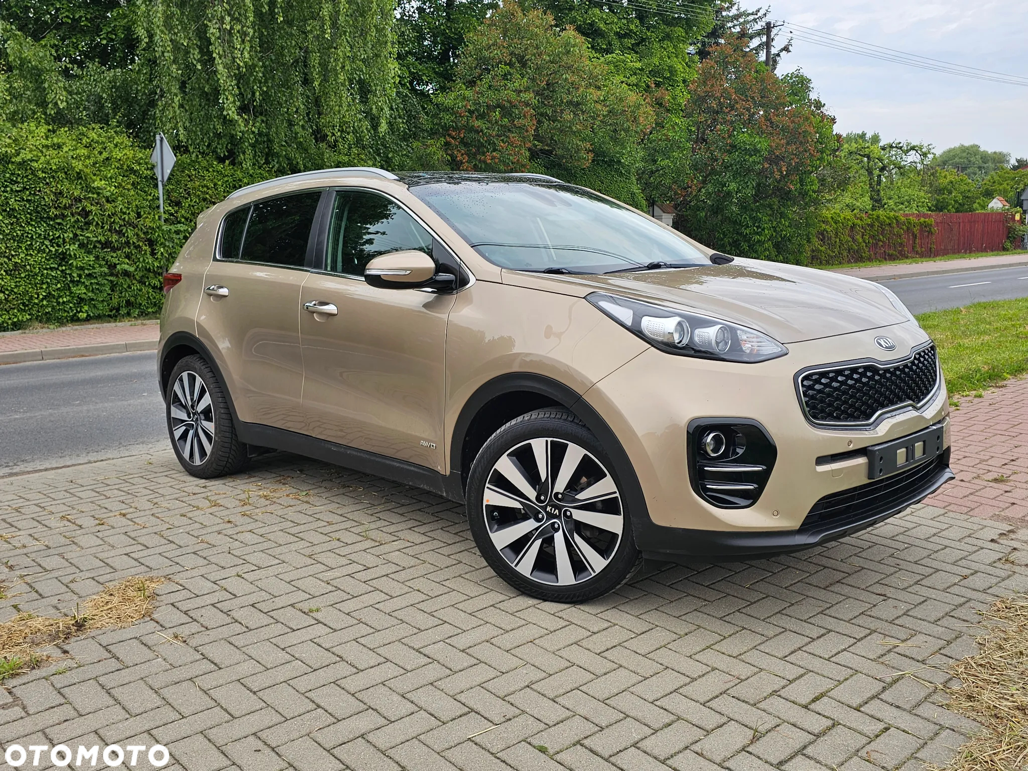 Kia Sportage 2.0 CRDI Business Line 4WD - 11
