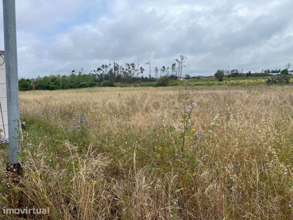 Terreno para construçao Bajouca - Grande imagem: 2/3