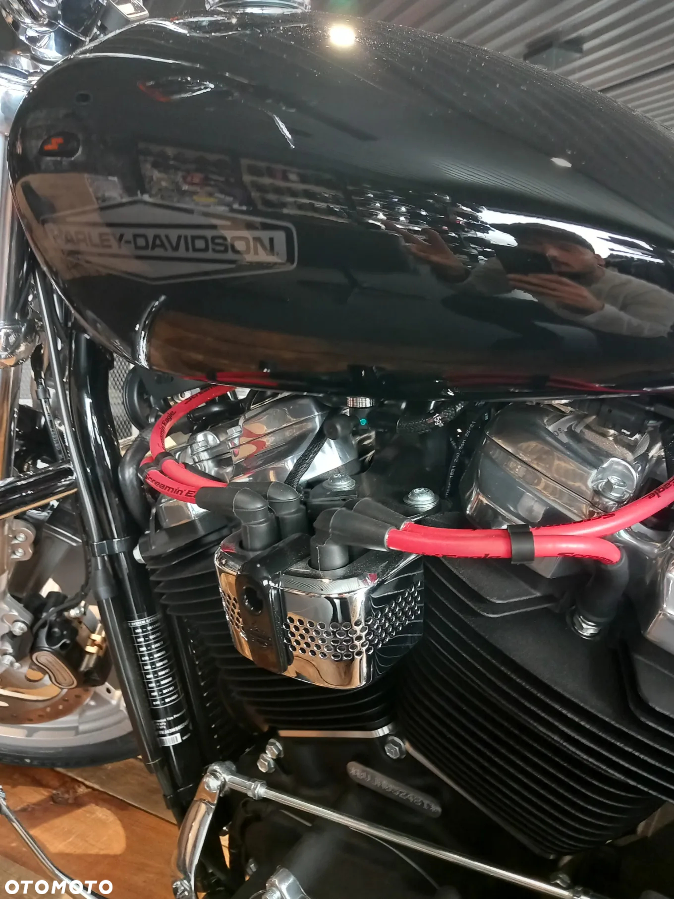 Harley-Davidson Softail Standard - 4