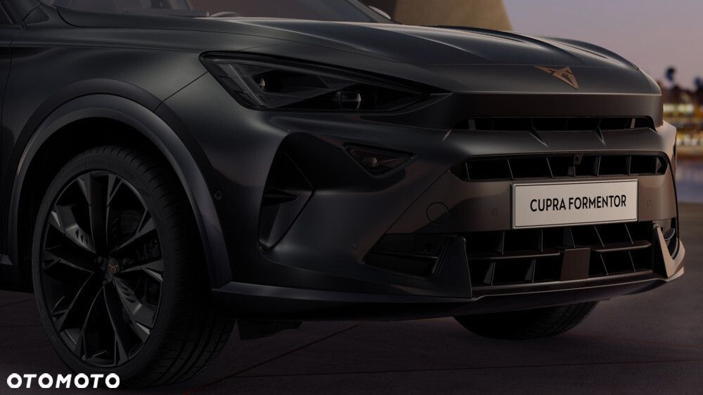 Cupra Formentor 2.0 TSI 4Drive DSG - 6
