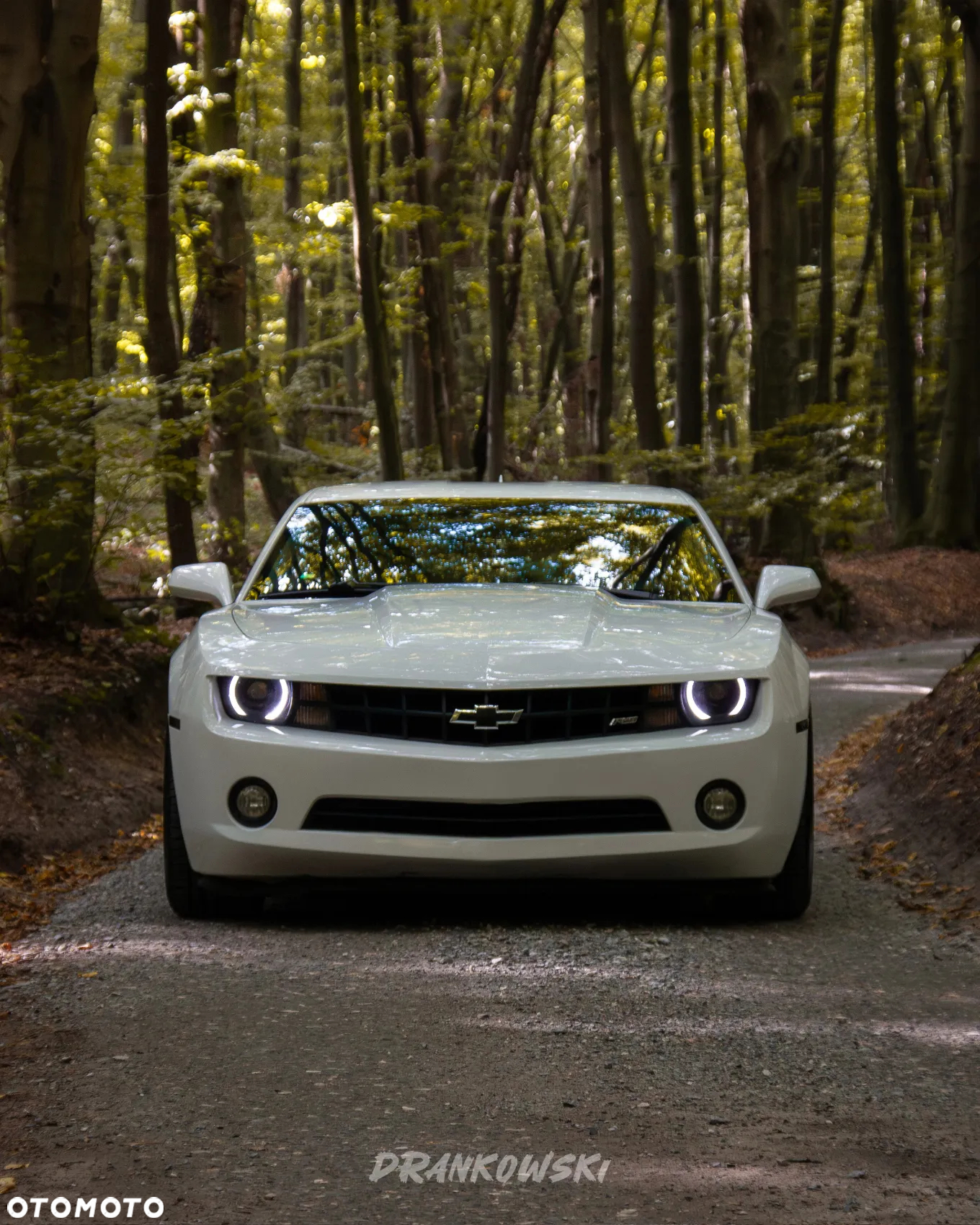 Chevrolet Camaro 3.6 V6 Coupe 2LT - 7
