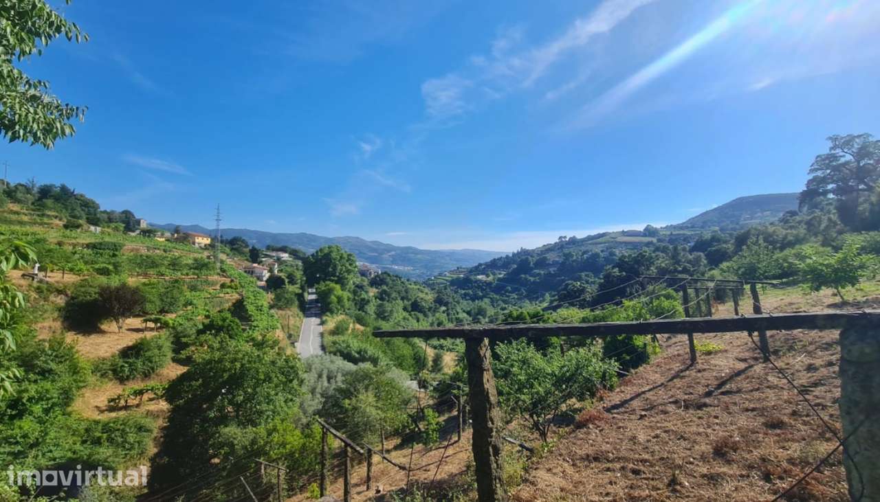 Venda Terreno, Santa Marinha do Zêzere, Baião - Grande imagem: 2/30