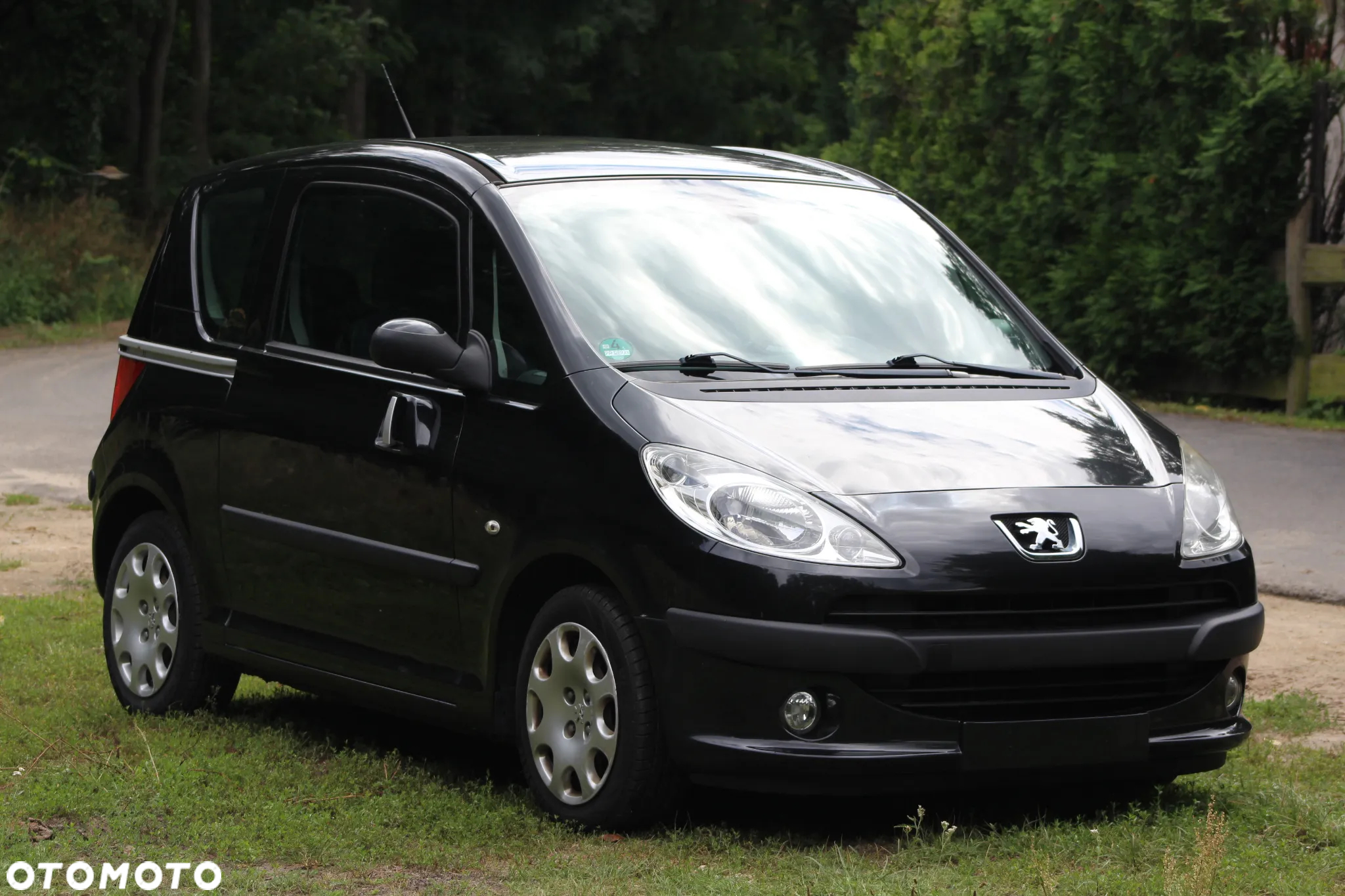 Peugeot 1007 - 2