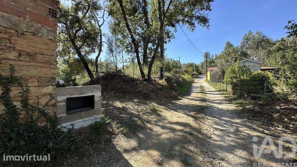 Terreno Agrícola em Graça - Grande imagem: 4/16