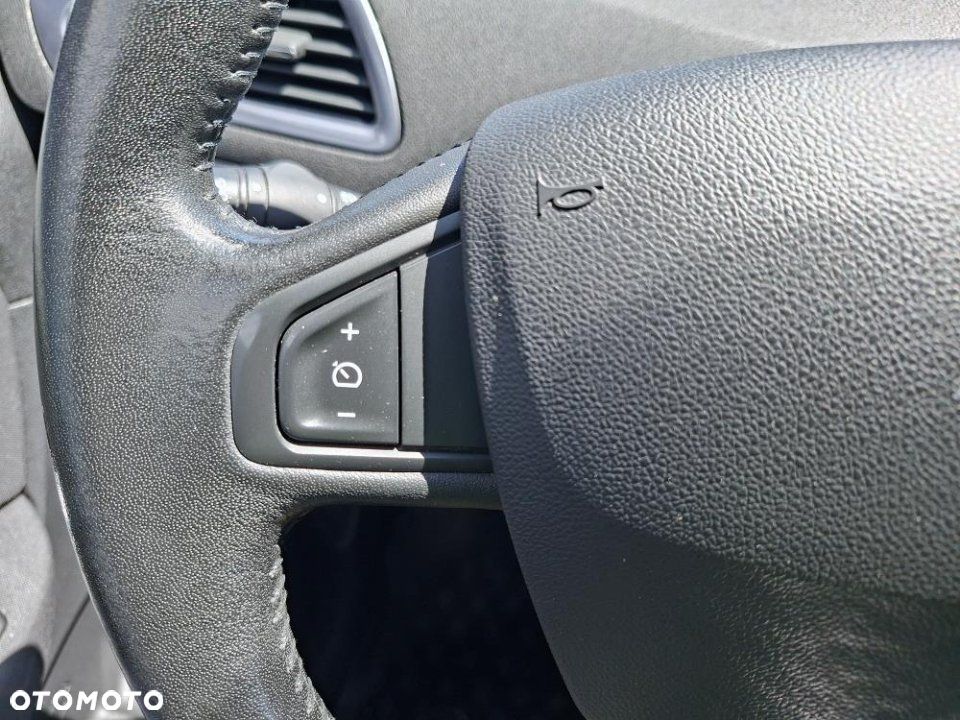 Renault Scenic - 18