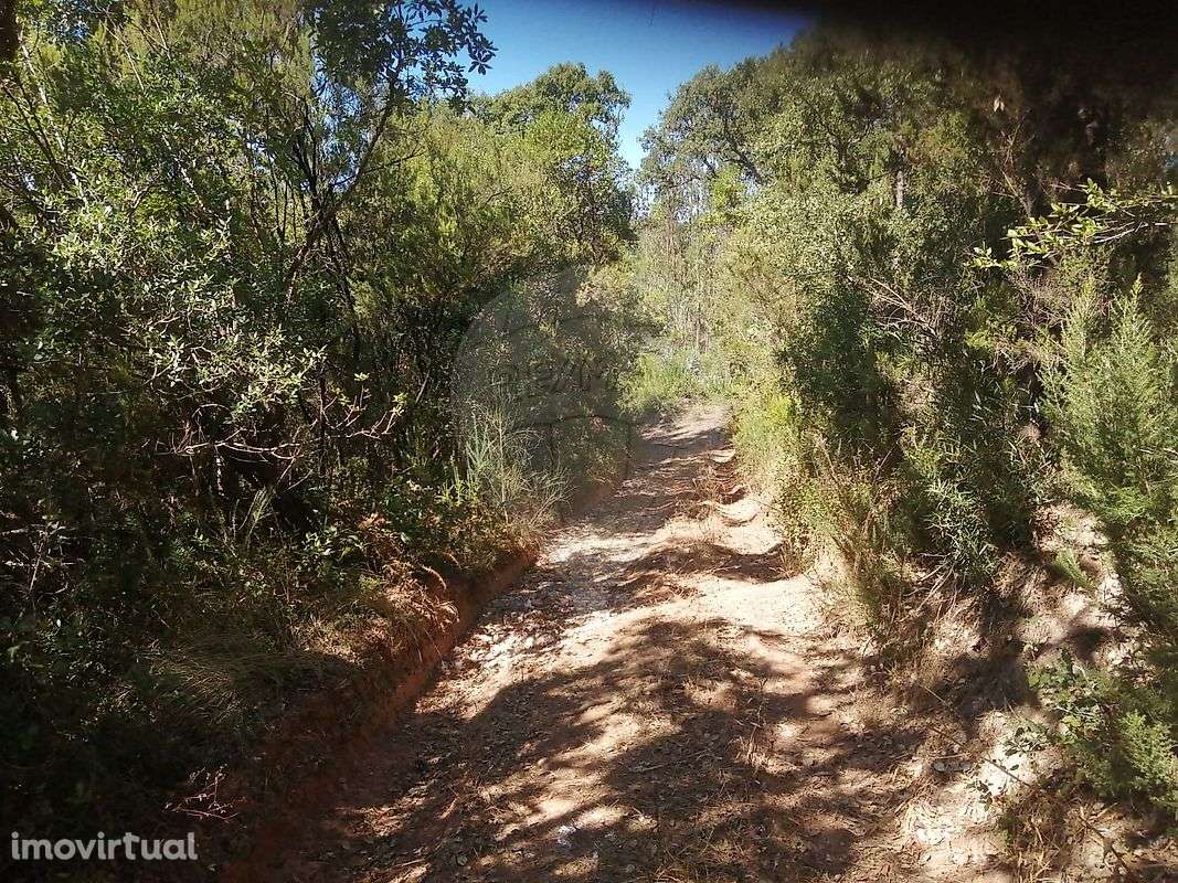 Terreno  para venda - Grande imagem: 3/3