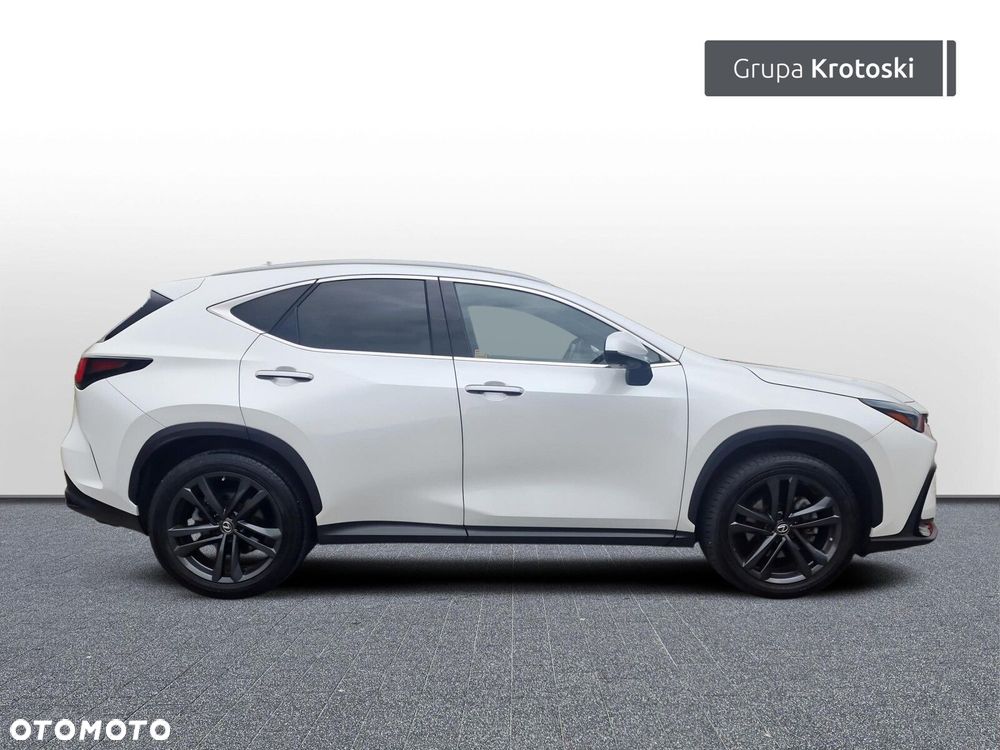 Lexus NX - 6