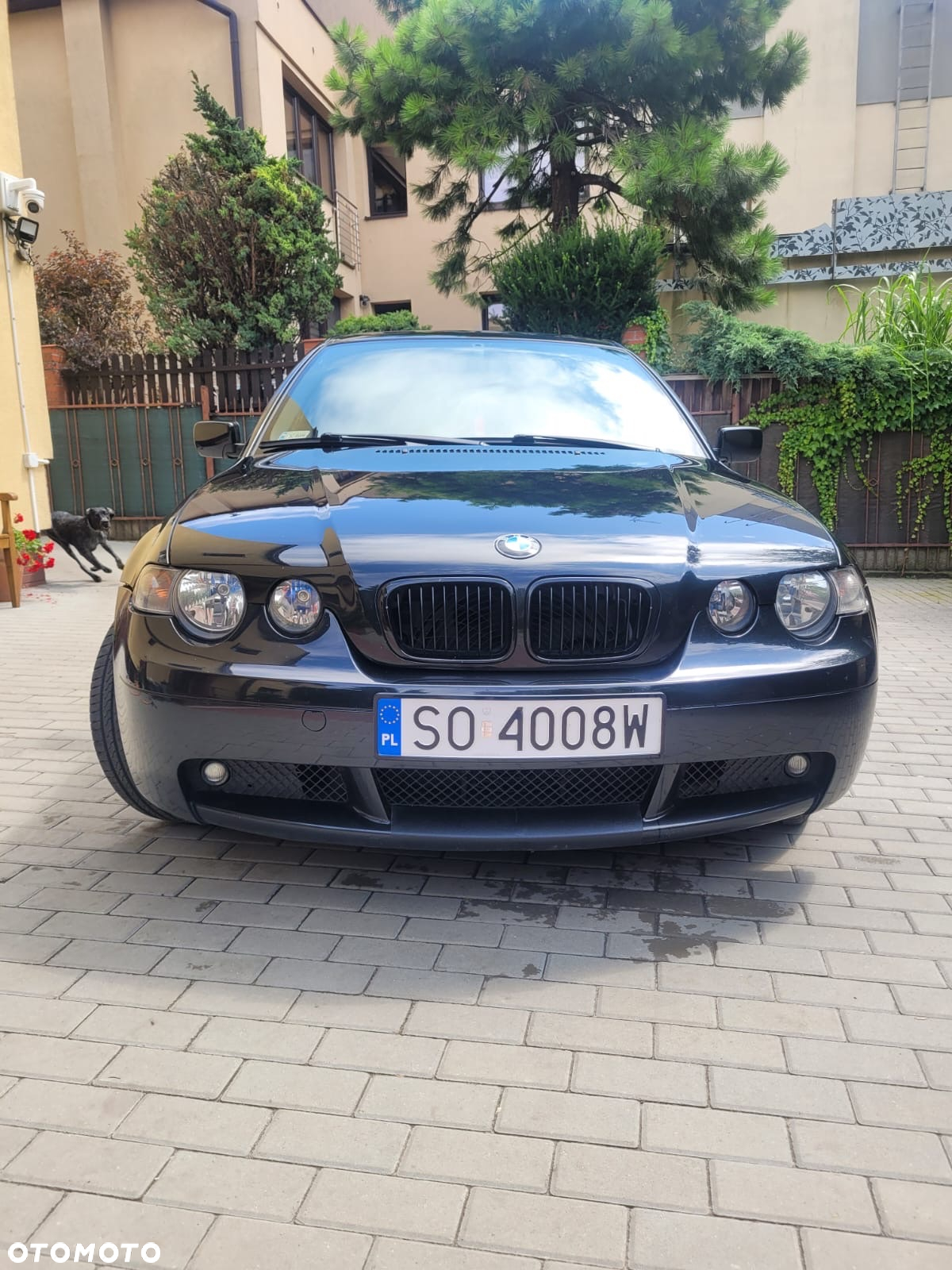 BMW Seria 3 - 6