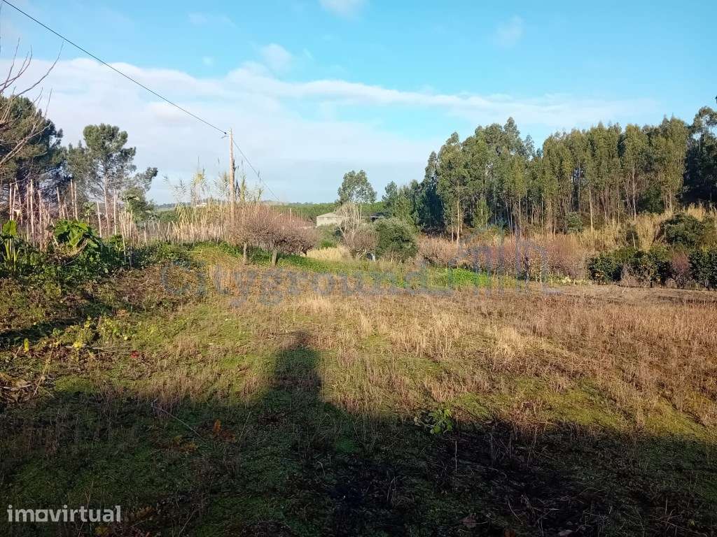 Terreno de 1264m2 com licença levantada em Cortes - Grande imagem: 3/13