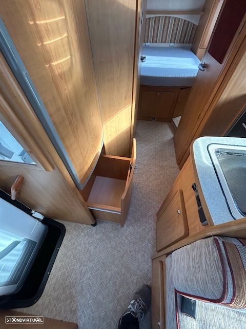 Fleurette Migrateur - 18