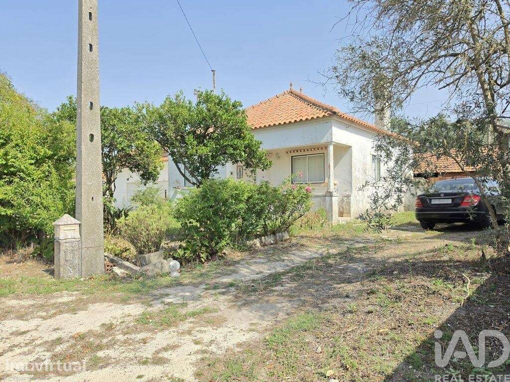 Moradia térrea T2 em Pedreiras de 104 m2 - Grande imagem: 2/31