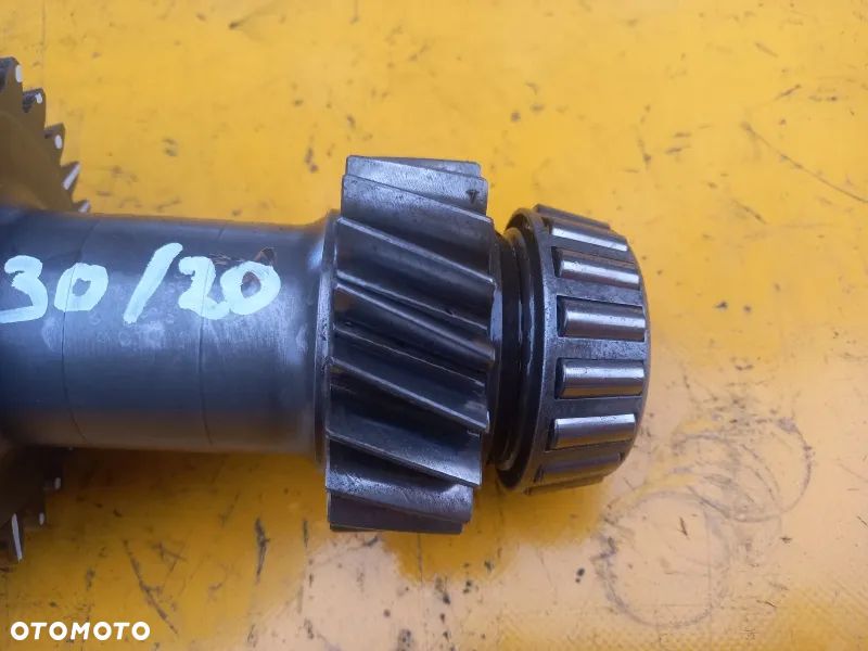 Choinka Z20/30 McCormick MTX175 - 2