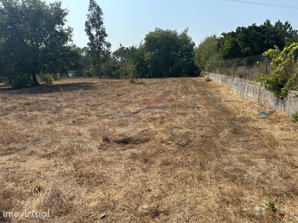 Terreno - Zona Souto da Carpalhosa - Grande imagem: 5/13