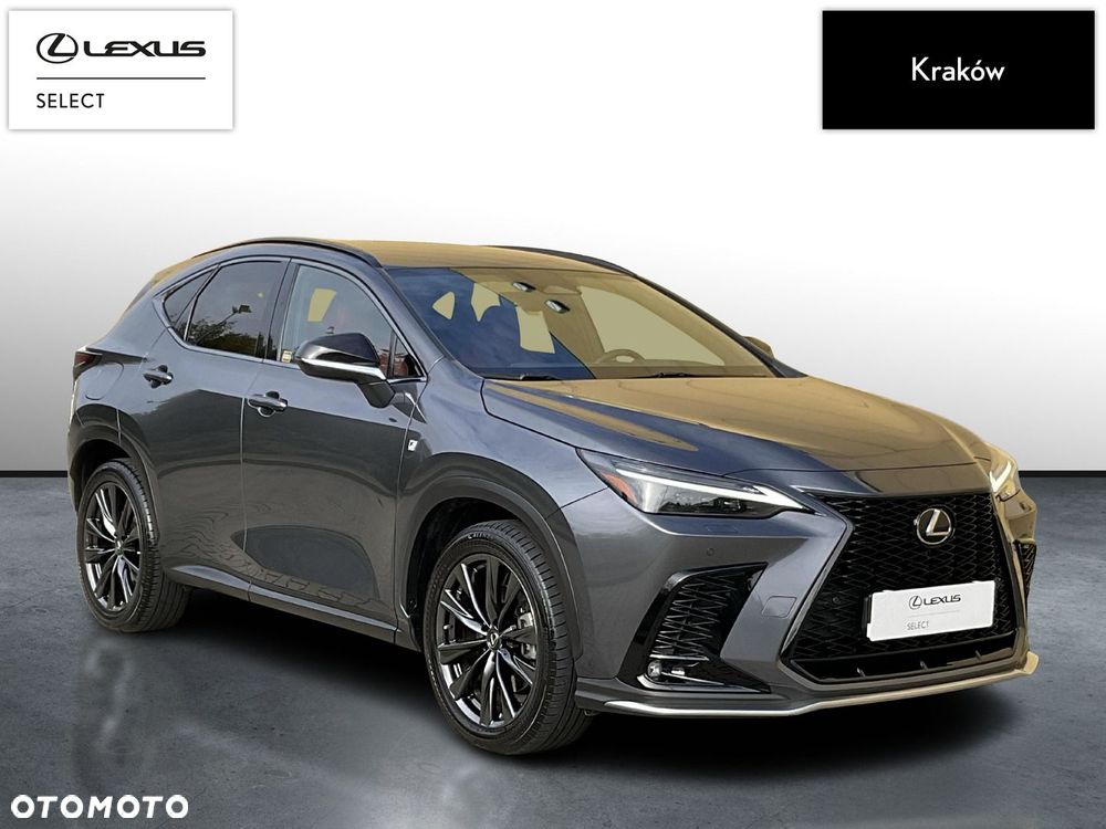 Lexus NX - 6