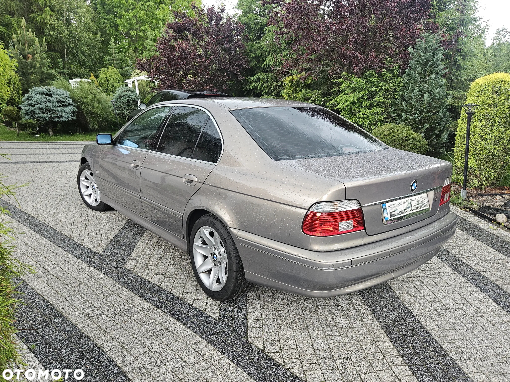 BMW Seria 5 525d - 13