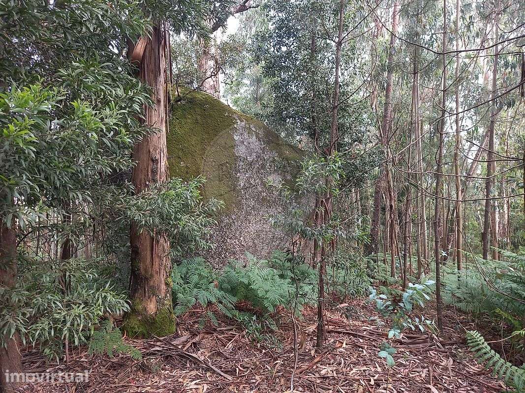 Terreno  para venda - Grande imagem: 4/10