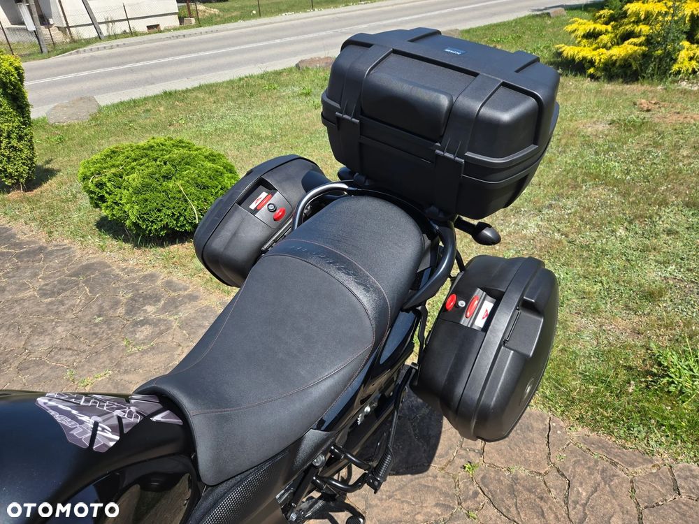 Suzuki V-STROM - 10