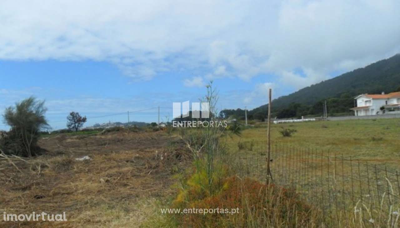 Terreno - Carreço - Grande imagem: 2/4