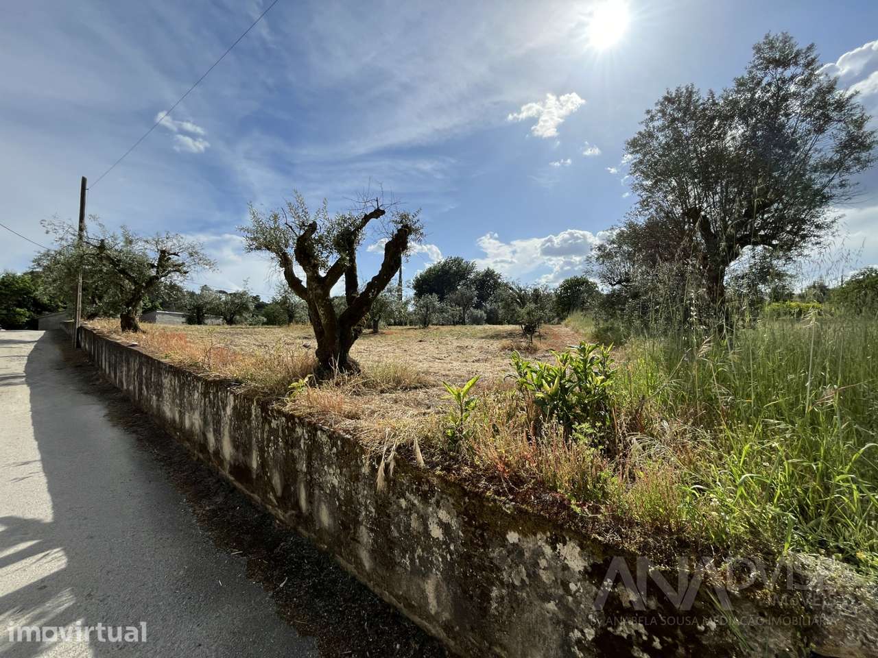 Terreno  Venda em Silgueiros,Viseu - Grande imagem: 4/23