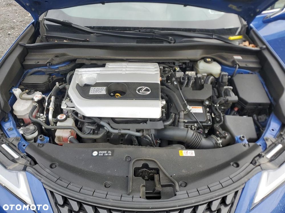 Lexus UX - 13
