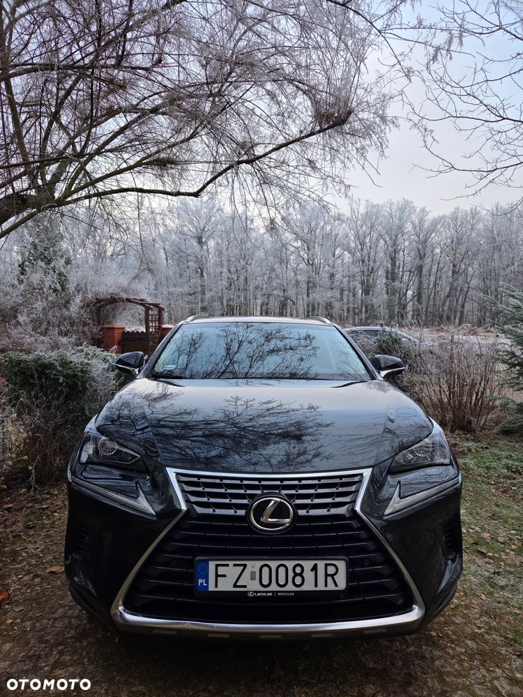 Lexus NX 300 Comfort AWD - 3