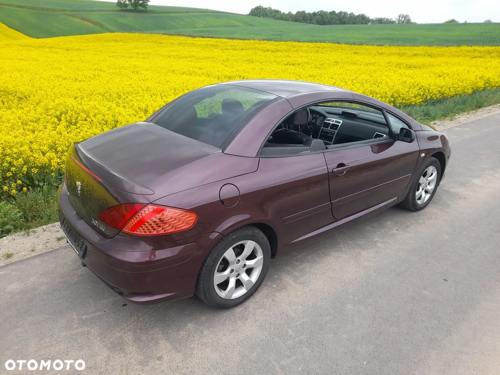 Peugeot 307 CC - 12