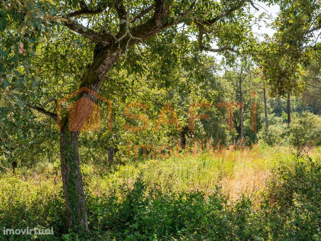 Terreno para construção - Grande imagem: 4/17