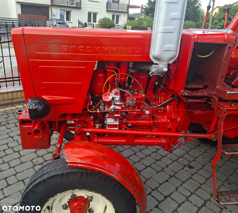 Belarus WŁADIMIREC RUSKI T-25 - 17