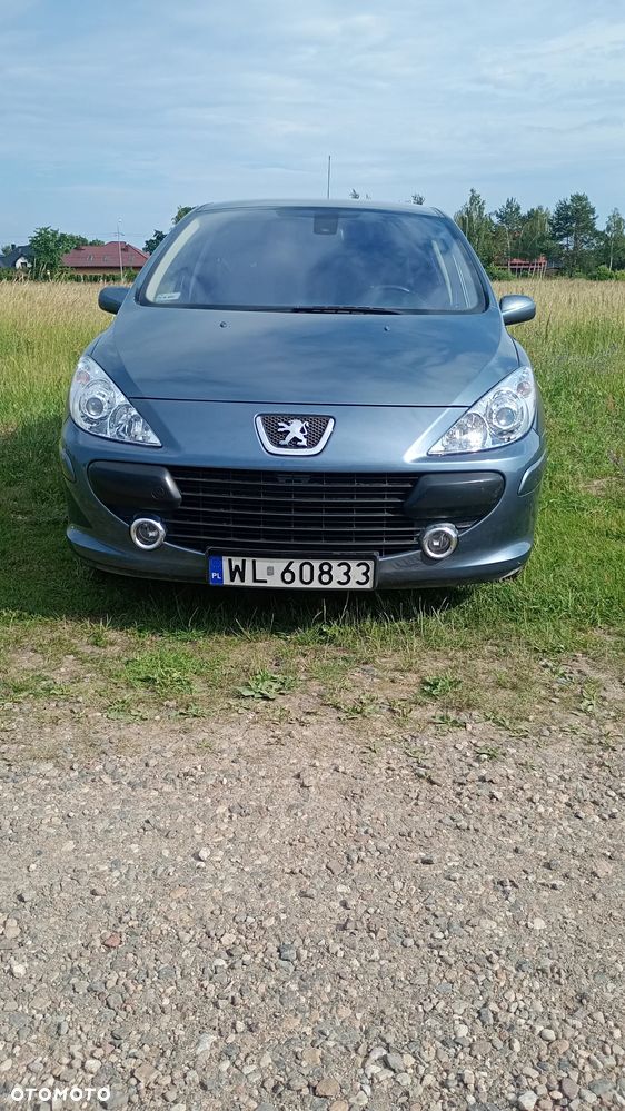 Peugeot 307 1.6 Sporty (kla) - 2