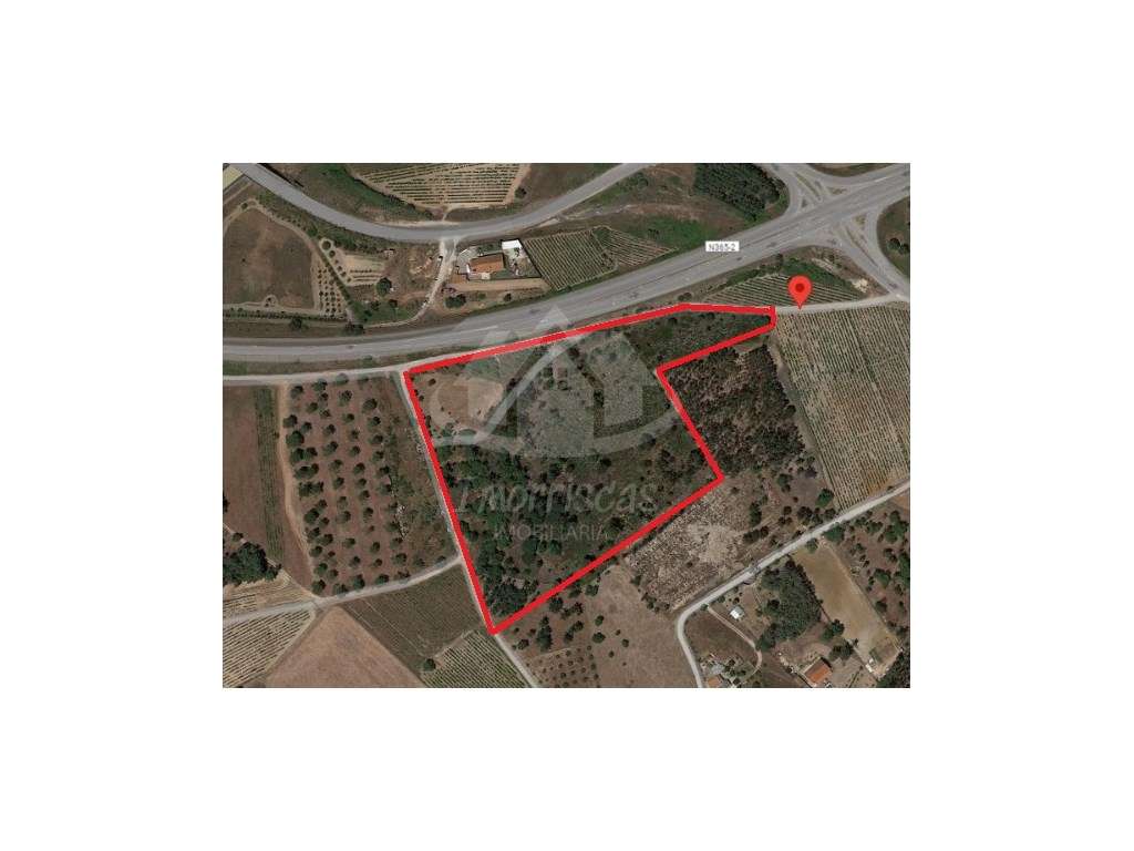 Terreno rústico com 16.100 m² em Pontével, Cartaxo - Grande imagem: 4/4