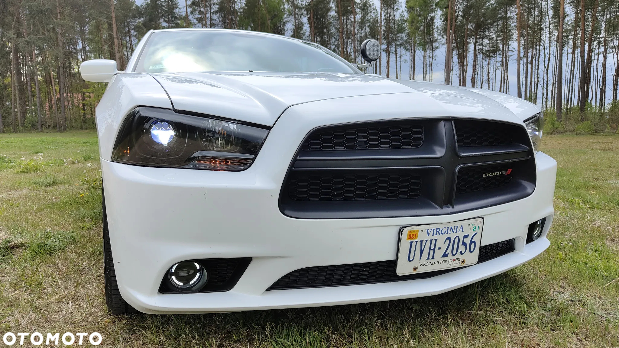 Dodge Charger - 17
