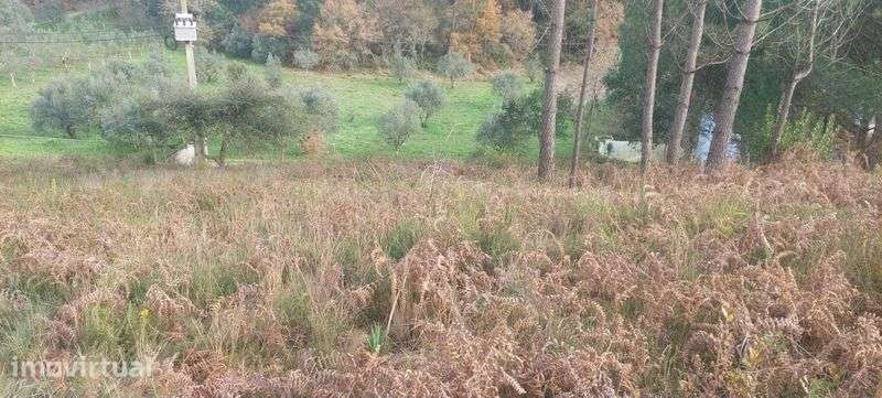 Terreno 1073M2  , URQUEIRA , vendo ou troco - Grande imagem: 5/5