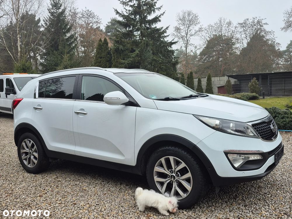 Kia Sportage 1.6 GDI L 2WD - 6